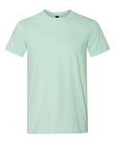 Unisex Softstyle® Lightweight T-Shirt