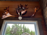 CABIN FOR SALE – 10 Mile Pond, Indian Bay Area of Bonavista North