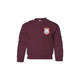 St. Boniface All Grade Youth Crewneck Sweatshirt