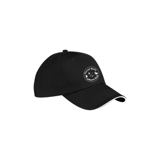 Darrell Wells Outdoors and Different Stuff - Sandwich Bill Cap