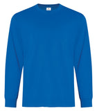 ATC™ EVERYDAY RING SPUN COTTON LONG SLEEVE TEE